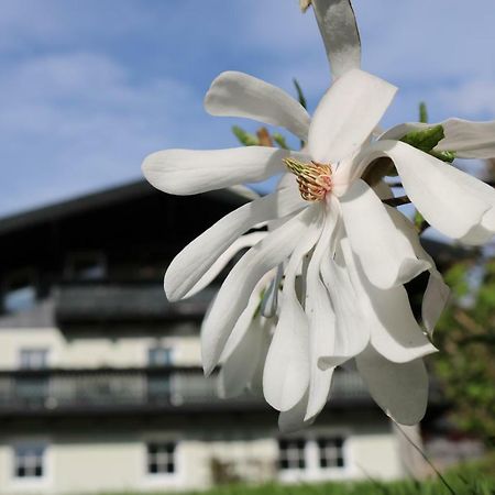 Apartament Haus Brandstatter Eben Im Pongau Zewnętrze zdjęcie