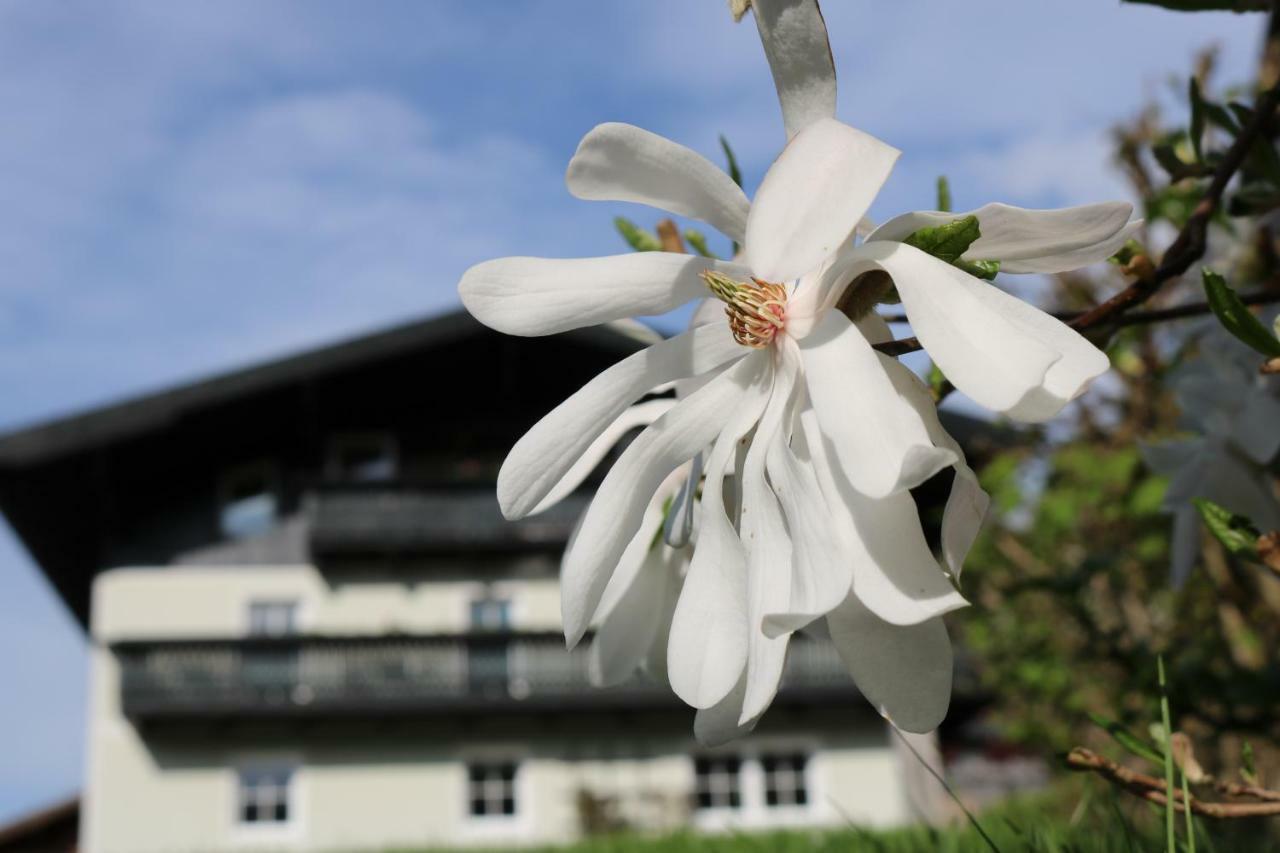 Apartament Haus Brandstatter Eben Im Pongau Zewnętrze zdjęcie